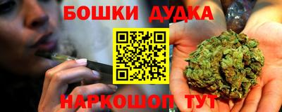шишки Владимир
