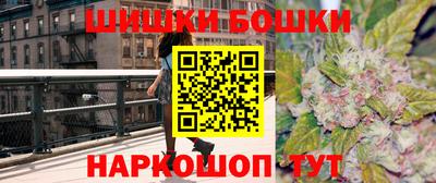 шишки Владимир