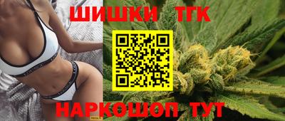шишки Владимир