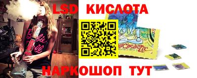 шишки Владимир