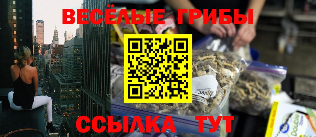 Псилоцибиновые грибы мицелий Надым